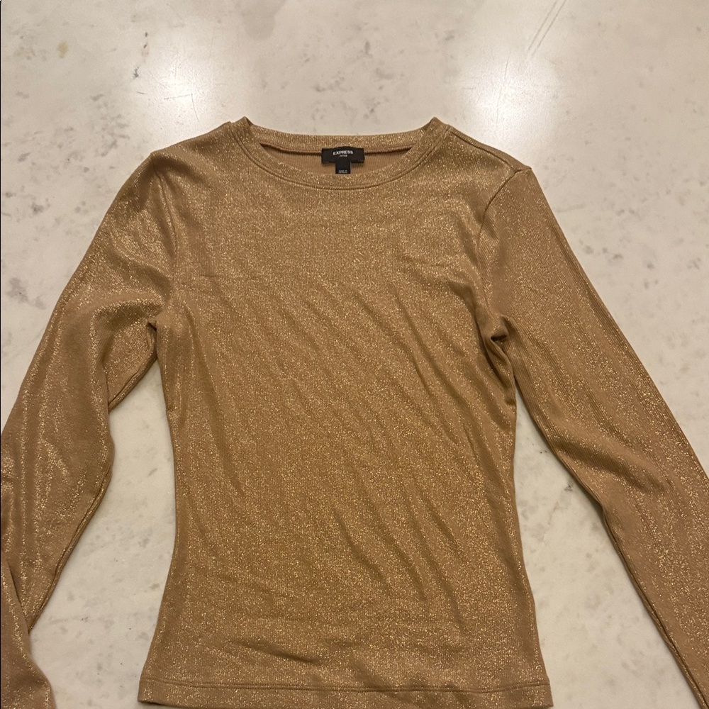 Express Gold Glitter Long Sleeve Top